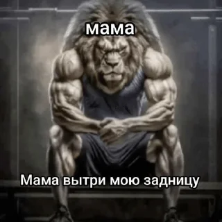 Sticker from Насрать мемы срочно вконтакте
