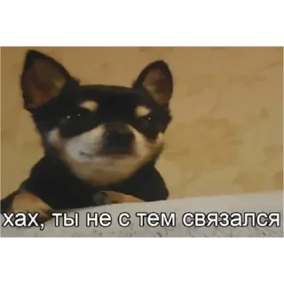Sticker from Леди