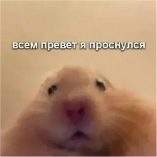 💚 emoji Леди Telegram sticker 5 of 7