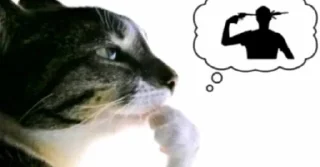 🌟 emoji Картинки с комментов в тт Telegram sticker 3 of 29