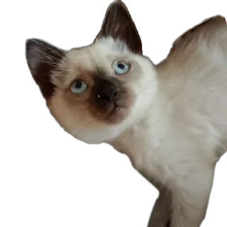 Sticker from Бусяр