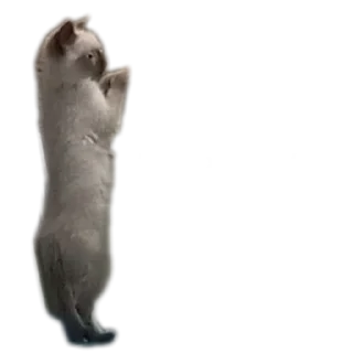 Sticker from Бусяр
