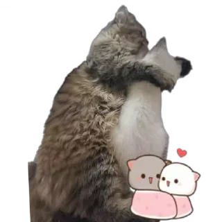 🐱 emoji Бусяр Telegram sticker 6 of 56