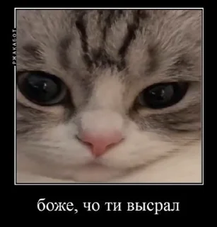 🏃 emoji настя дура @keeparic Telegram sticker 15 of 16