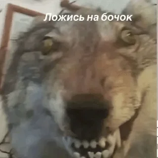 🌟 emoji хорошо спасибо Telegram sticker 21 of 63