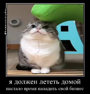 🏡 emoji Комарекэ👄 Telegram sticker 17 of 120