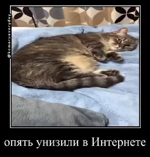 🗿 emoji Комарекэ👄 Telegram sticker 7 of 120