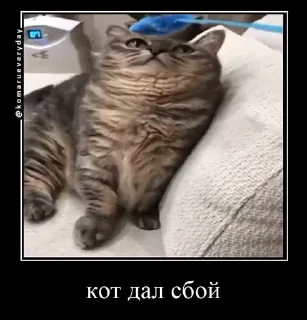 😕 emoji Комарекэ👄 Telegram sticker 21 of 120
