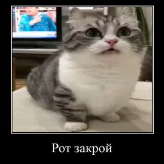 😠 emoji Комарекэ👄 Telegram sticker 24 of 120