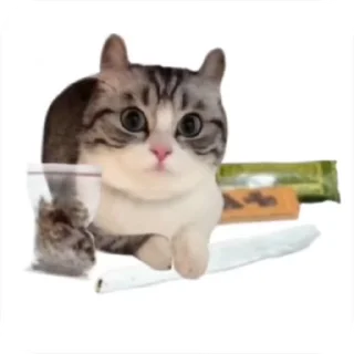 🚬 emoji Комарекэ👄 Telegram sticker 11 of 120