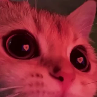 😍 emoji Еще стикеры - @The_Packo Telegram sticker 19 of 120