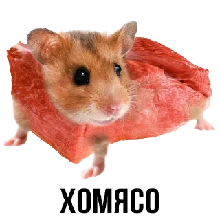 Sticker from Колбасуля • @StickEmojiBook