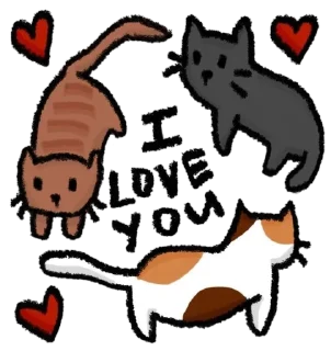 Sticker from @plusikradom ꙳  ૮៸៸›  ‌‹៸៸ྀིა  пикчи и коти