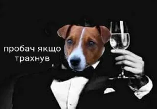 😏 emoji Хуєта але моя Telegram sticker 14 of 64