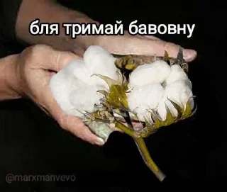 🍻 emoji Хуєта але моя Telegram sticker 10 of 64
