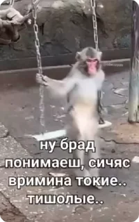 Sticker from чо блен