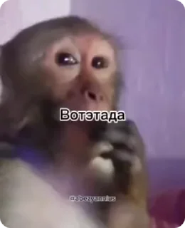 Sticker from чо блен