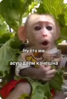 Sticker from чо блен