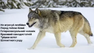 Sticker from Вовки