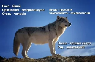 Sticker from Вовки