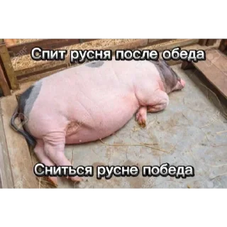 Sticker from Анти русляндия