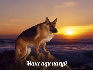 😧 emoji макс бля, иди нахуй реально Telegram sticker 1 of 18