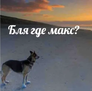 👎 emoji макс бля, иди нахуй реально Telegram sticker 5 of 18