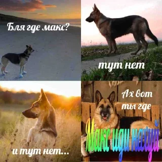 👎 emoji макс бля, иди нахуй реально Telegram sticker 9 of 18