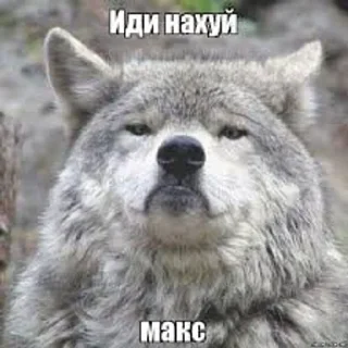 👎 emoji макс бля, иди нахуй реально Telegram sticker 10 of 18