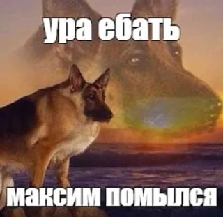 😧 emoji макс бля, иди нахуй реально Telegram sticker 2 of 18