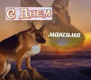 😧 emoji макс бля, иди нахуй реально Telegram sticker 3 of 18