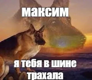 👎 emoji макс бля, иди нахуй реально Telegram sticker 17 of 18