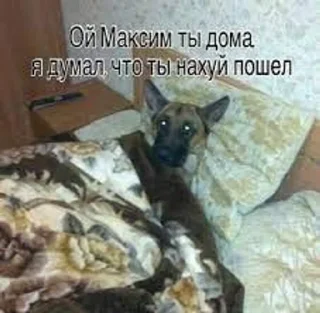 👎 emoji макс бля, иди нахуй реально Telegram sticker 11 of 18
