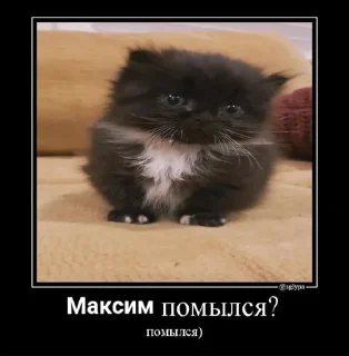 👎 emoji макс бля, иди нахуй реально Telegram sticker 12 of 18