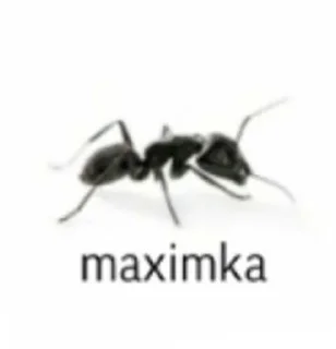 👎 emoji макс бля, иди нахуй реально Telegram sticker 13 of 18