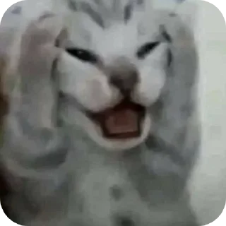 Sticker from meow by @Maslenka1911
