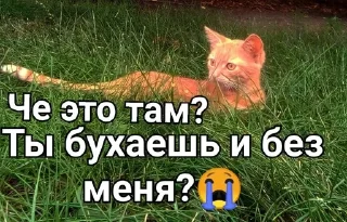Sticker from Касперина