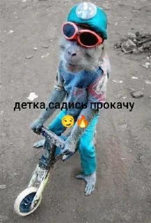 Sticker from Стикеры @stickrubot @textmeru_bot