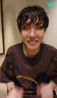 🥳 emoji J-hope Telegram sticker 13 of 42