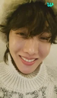 😃 emoji J-hope Telegram sticker 24 of 42