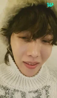 🙂 emoji J-hope Telegram sticker 22 of 42
