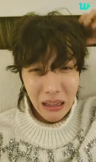 😐 emoji J-hope Telegram sticker 21 of 42