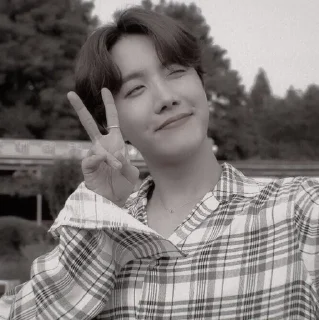 🌟 emoji hoseok  @wwwxyxz Telegram sticker 20 of 43