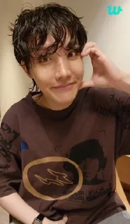 🫶 emoji J-hope Telegram sticker 20 of 42