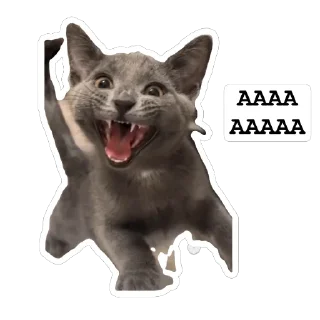 Sticker from Киты