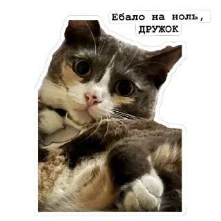 Sticker from Киты