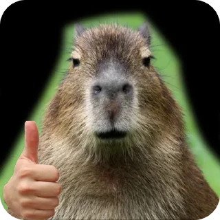 Sticker from Capybara228