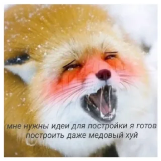 Sticker from Стикеры группы