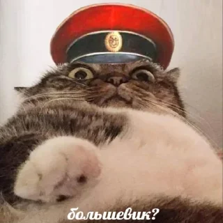 ✨ emoji Коммунизм вперёд! Telegram sticker 2 of 12