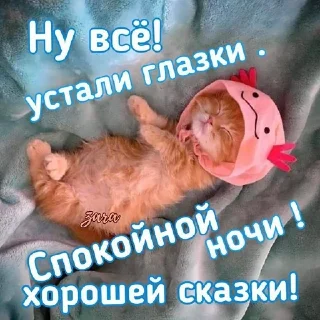 Sticker from Катар идет спать